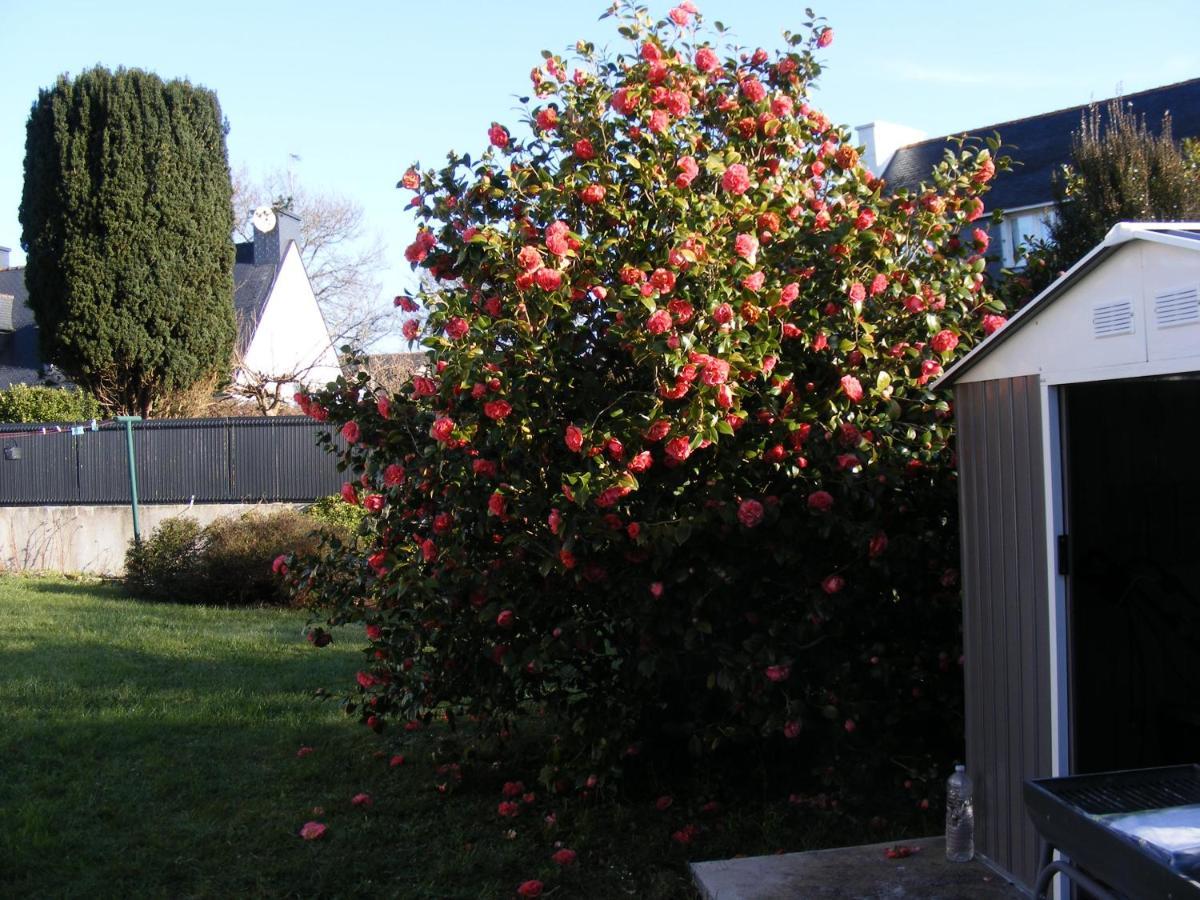 La Glycine Villa Fouesnant Eksteriør bilde
